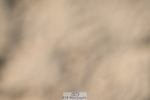 260222A-134011-01028