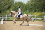 SBM_009631