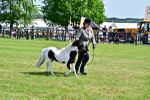 SBM_03453