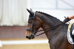 SBM_000637