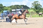CLASS 6 Senior Newcomers/ 1.10m Open portfolio