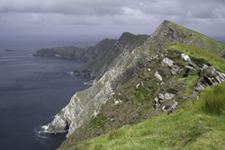 Achill Sea Cliffs