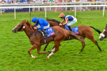 170623-Race 2-Wild Lion-7005