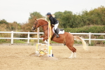 SBM_008352