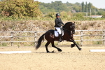 SBM_003445