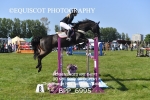 BPP_6995