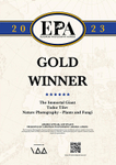 European Photography Awards_2023_Gold_Nature_Plants and Fungi