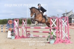BPP_1069