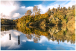 Autumn on the Bann (IMG1097)