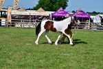 SBM_10029