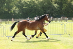 SBM_02246