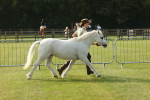 SBM_00573