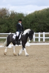 SBM_002206