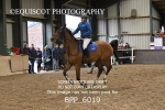BPP_6019