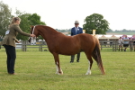 SBM_00532