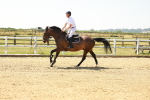 SBM_001190