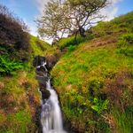 Golden Gap