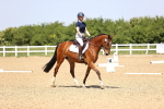 SBM_009011