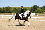 SBM_011569