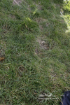 PtP 290123 0877