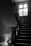 Auschwitz stairs bw
