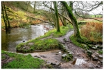 The River Dove in Wolfscote Dale 2020