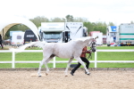 SBM_03931