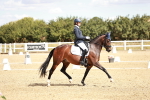 SBM_009392