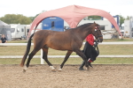 SBM_07636