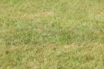 SBM_00611