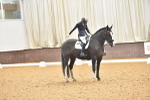 SBM_010313