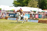 SBM_16883
