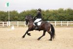 SBM_001911