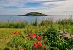Poppy view of Looe island