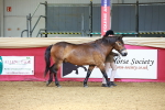 SBM_02221