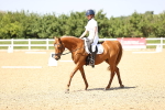 SBM_010074