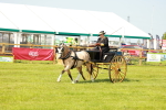 SBM_02662