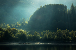Backlit Trees at Thirlmere