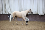 SBM_5472