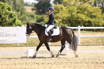 SBM_003542