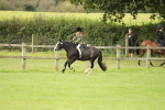 SBM_71590