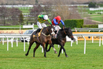 240126-Race 3-Donnacha-6403