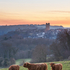 Highland Cattle - Sunset