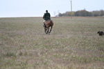 WJ7_9374