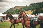 DSCF7368