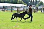 SBM_03424