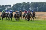 160726-Race 4-Park Lane Penny-4647
