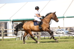 SBM_09028
