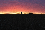Last Light