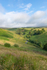 A Moorland scene